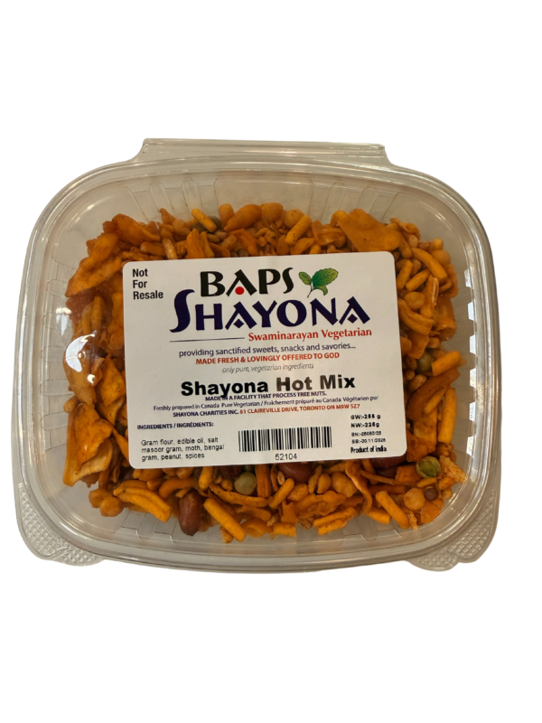 Shayona Hot Mix